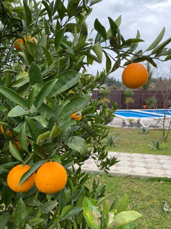 Hotel Solntse Abkhazii Lidzava Esterno foto