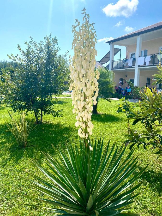 Hotel Solntse Abkhazii Lidzava Esterno foto